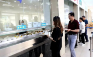 衢州政府食堂爆满，排队队伍延伸至大院，折射民生关怀与政策成效