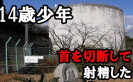 河南14岁女孩失踪7年终被发现抛尸，悲剧背后，家庭教育与法律监管亟待加强