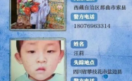5岁男童被拐家属悬赏50万？真相揭晓，一场精心策划的骗局！