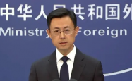 中方回应巴西起诉某中国车企，强调法治原则与平等互利，寻求合作共赢