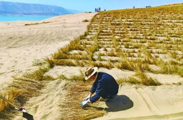 荒沙地变天然牧草地奇迹背后，农户未退耕获刑引发社会深思
