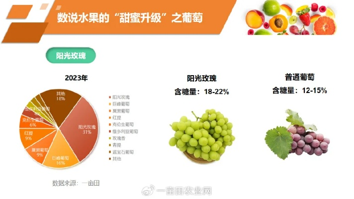 今年高端水果为何纷纷降价？市场供需与消费趋势深度解析