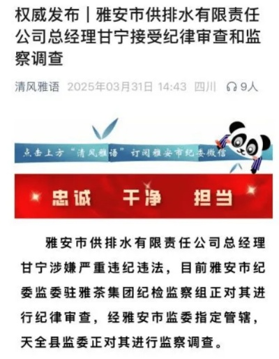 雅安纪委监委回应女星百万耳环事件，深入调查，严肃处理