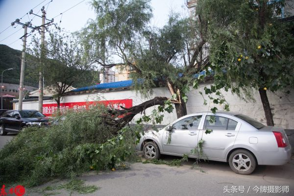 兰州大风奇观，自行车被吹起飞，大树拦腰刮断，市民出行安全引关注