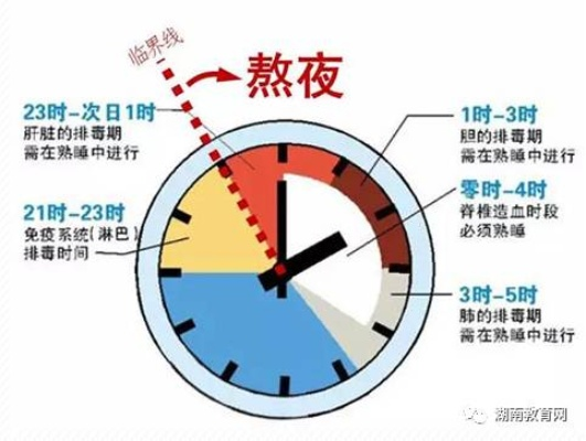 连续三天23点半后入睡，熬夜的警示与应对策略